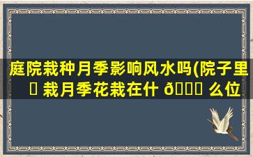 庭院栽种月季影响风水吗(院子里 ☘ 栽月季花栽在什 💐 么位置比较好啊)